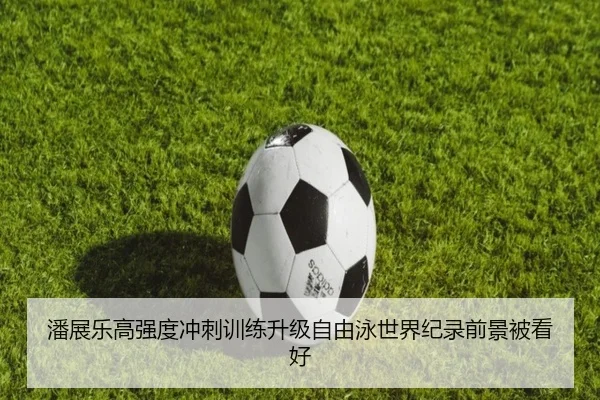 潘展乐高强度冲刺训练升级自由泳世界纪录前景被看好