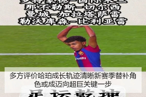 多方评价哈珀成长轨迹清晰新赛季替补角色或成迈向超巨关键一步