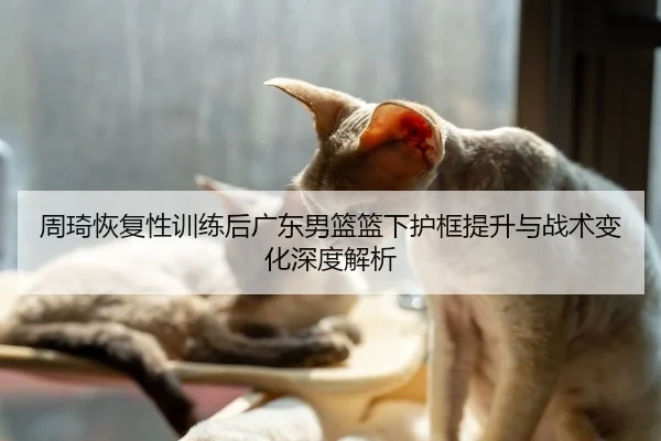 周琦恢复性训练后广东男篮篮下护框提升与战术变化深度解析